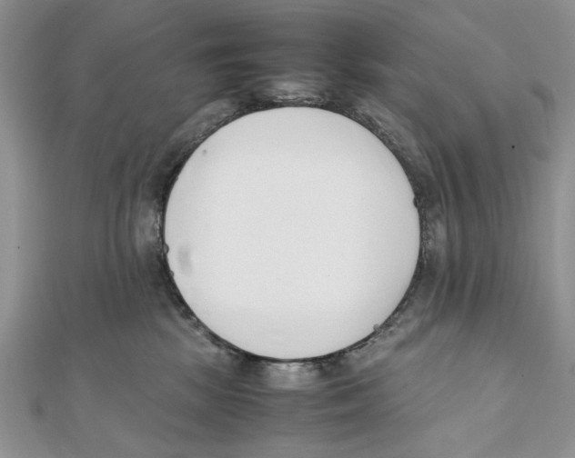 X0000111650281200908141258
