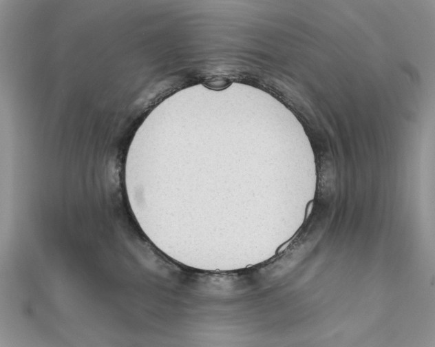 X0000111650282200908141258