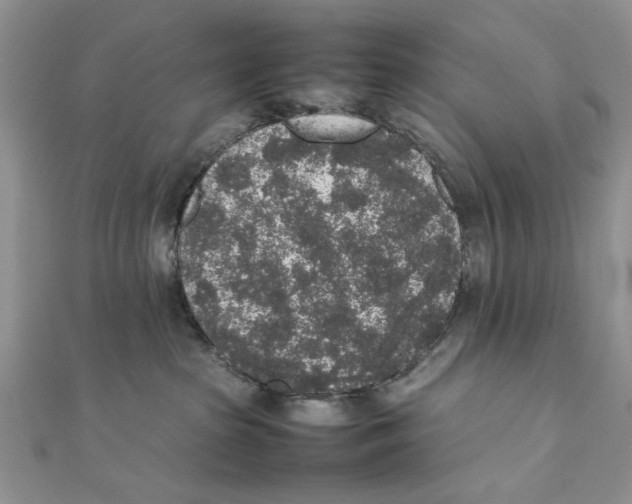 X0000111650285200908141259
