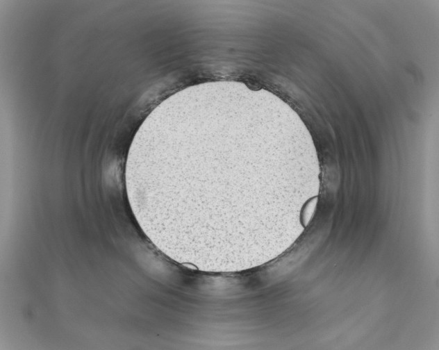 X0000111650286200908141259