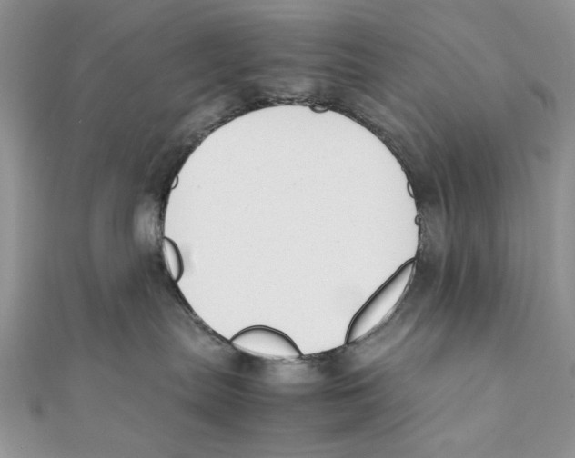 X0000111650287200908141259