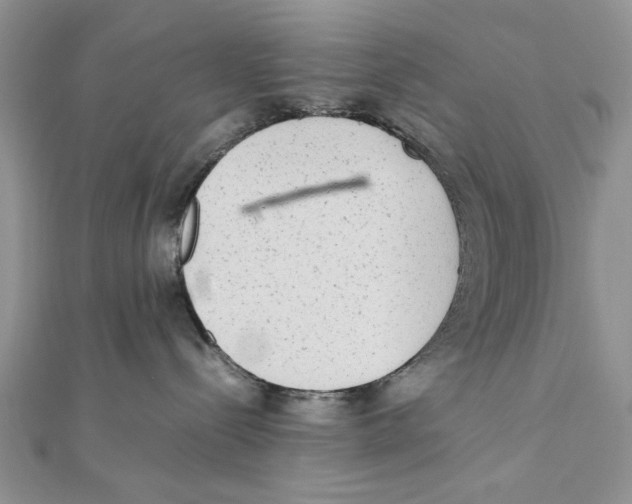 X0000111650288200908141259