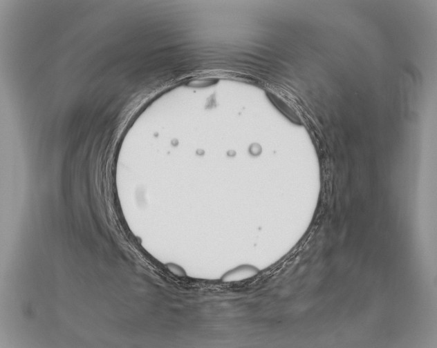 X0000111650289200908141258