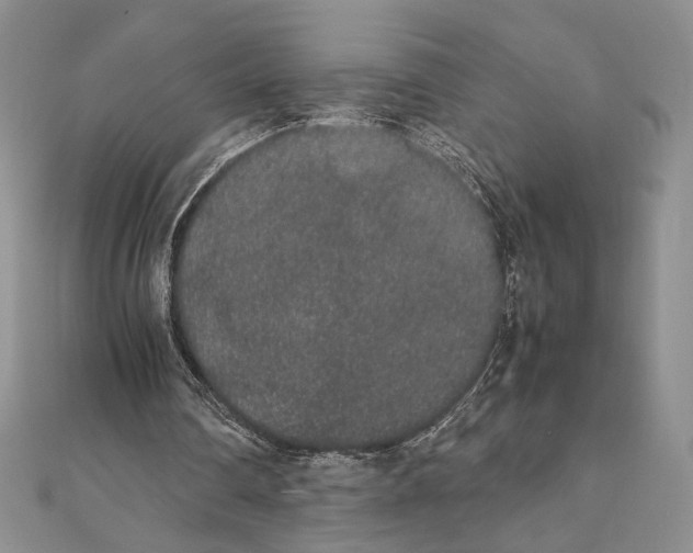 X0000111650290200908141258