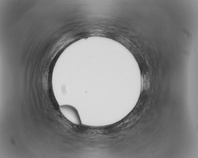 X0000111650291200908141258