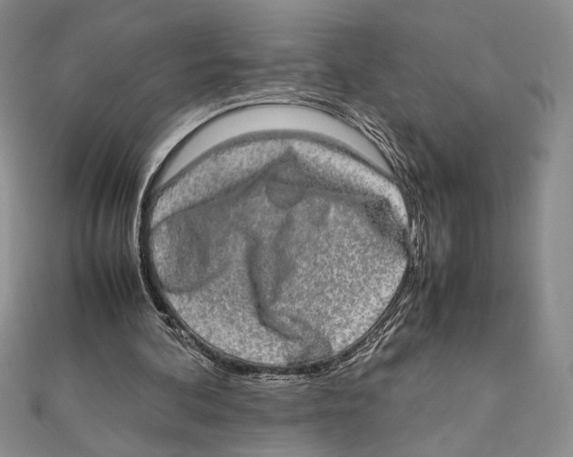 X0000111650292200908141258