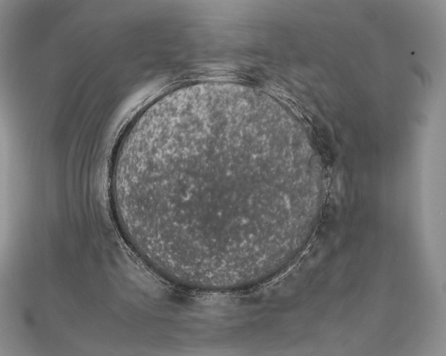 X0000111650293200908141258
