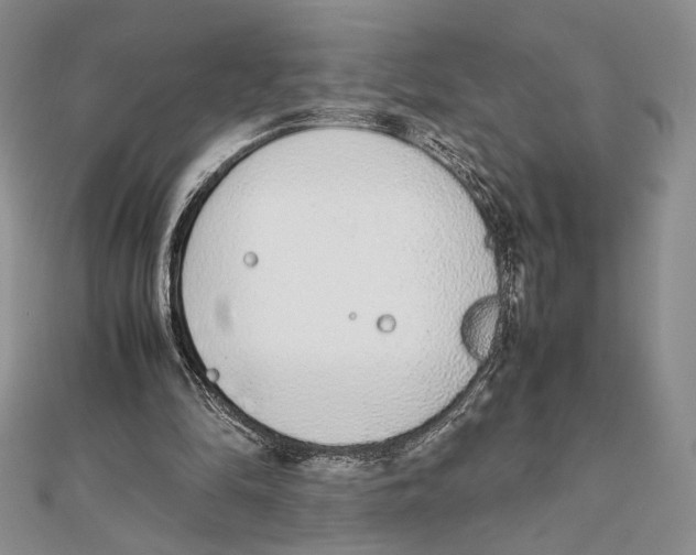 X0000111650294200908141258