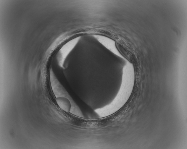X0000111650295200908141258
