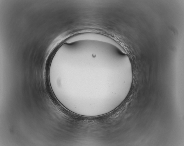 X0000111650296200908141258