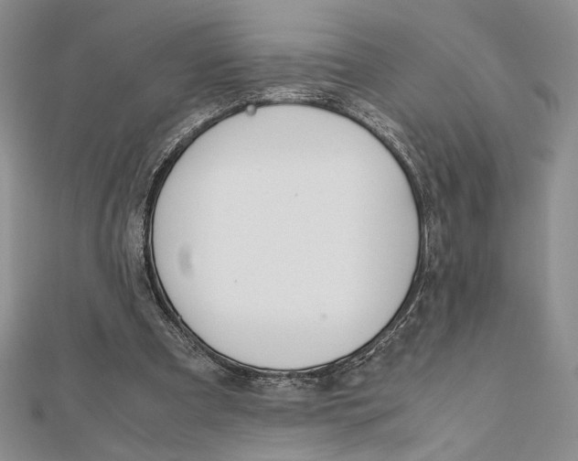 X0000111650297200908141258