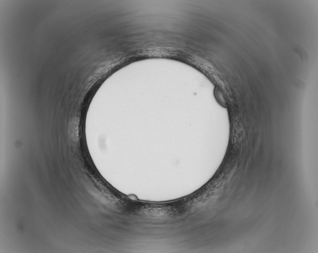 X0000111650299200908141258