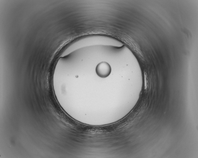 X0000111650300200908141258