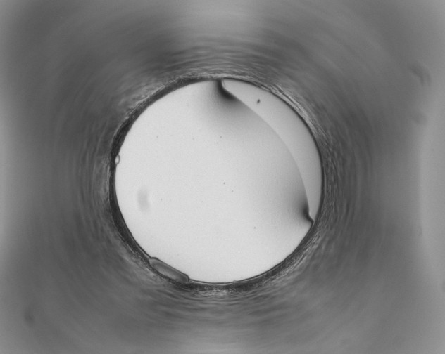 X0000111650301200908141258