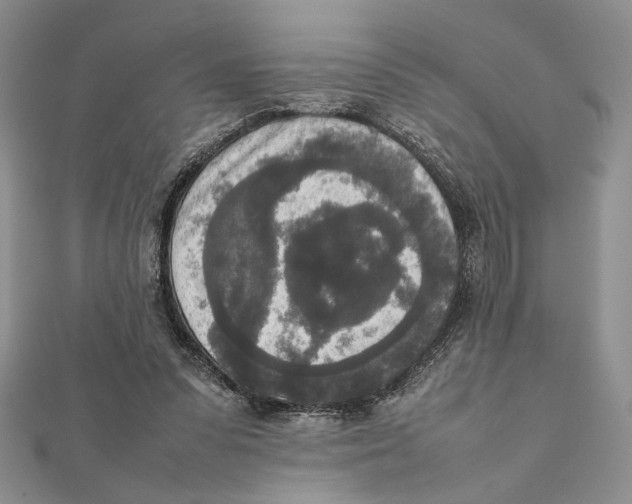 X0000111650303200908141258