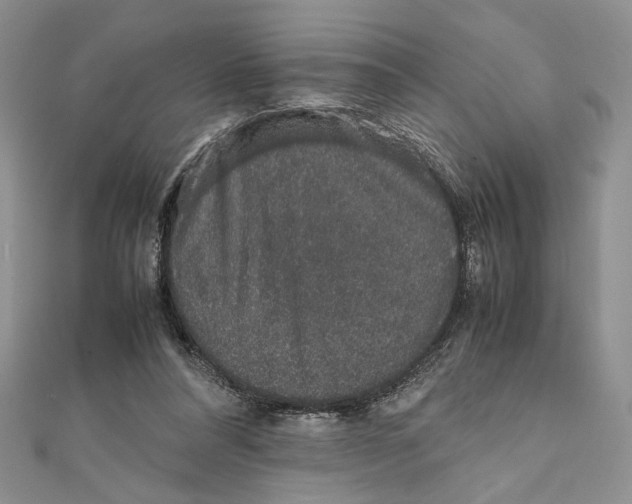 X0000111650304200908141258