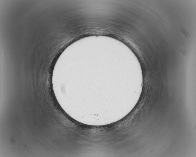 X0000111650305200908141258