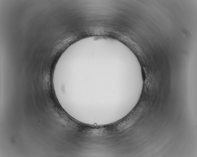 X0000111650306200908141258