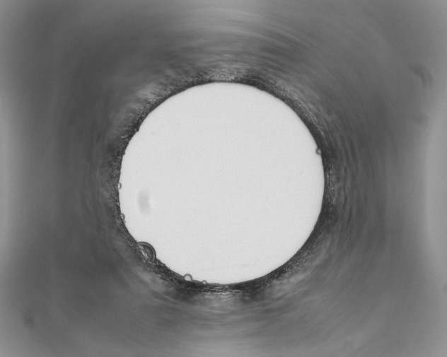 X0000111650307200908141258