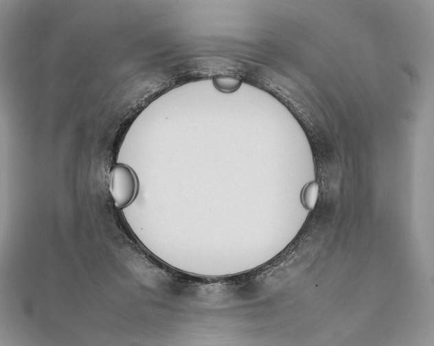 X0000111650309200908141258