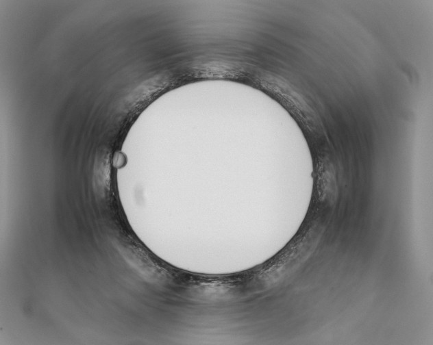 X0000111650310200908141258