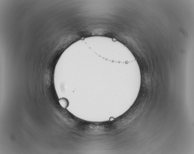 X0000111650311200908141258