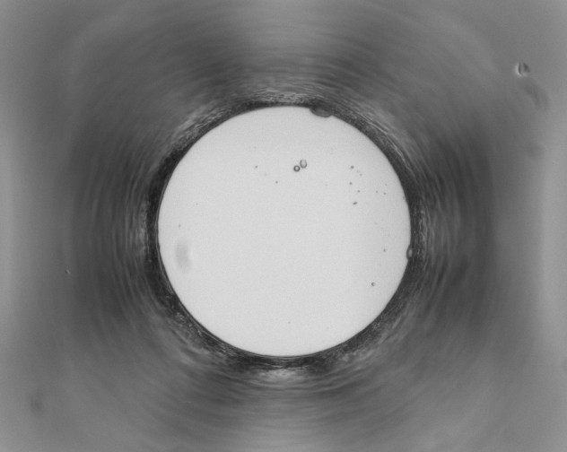 X0000111650312200908141258