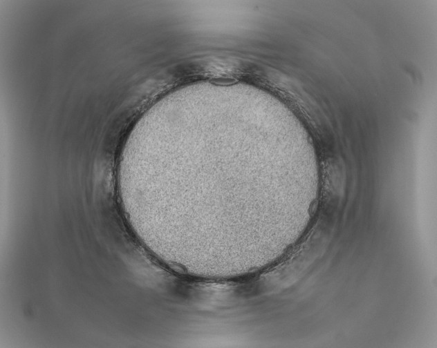 X0000111650313200908141258