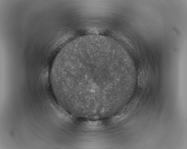 X0000111650314200908141258