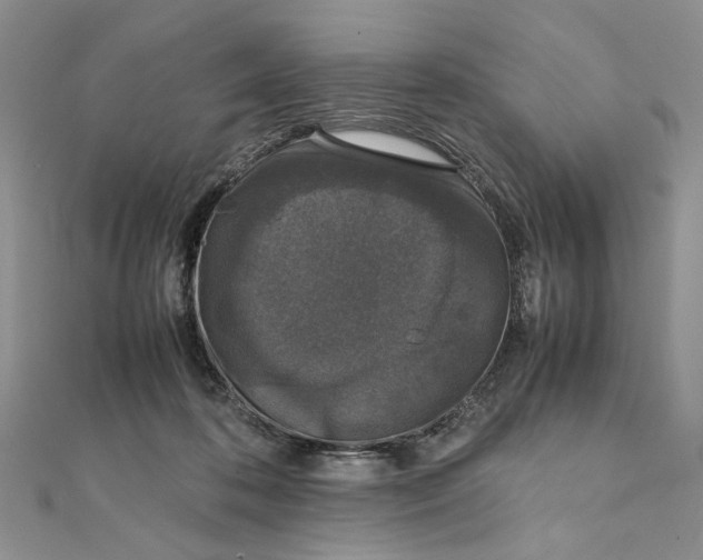X0000111650316200908141258