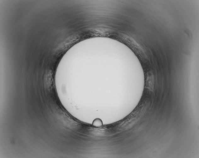 X0000111650318200908141258