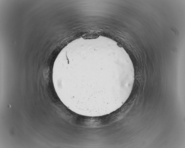 X0000111650319200908141258