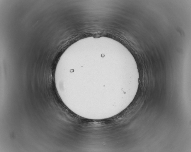 X0000111650320200908141258