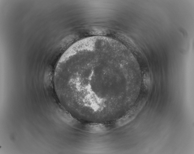 X0000111650322200908141258