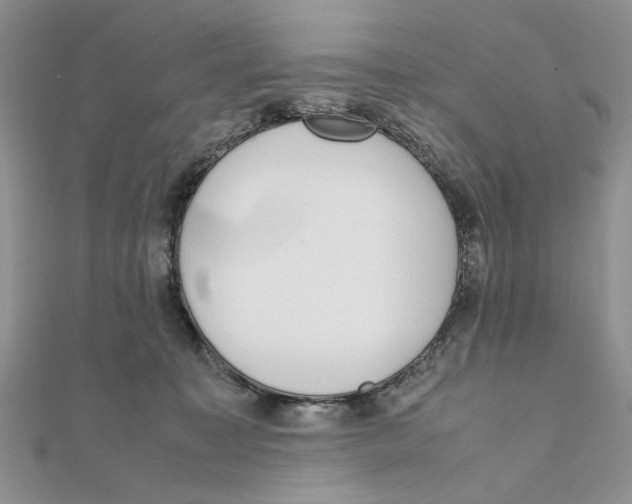 X0000111650323200908141258
