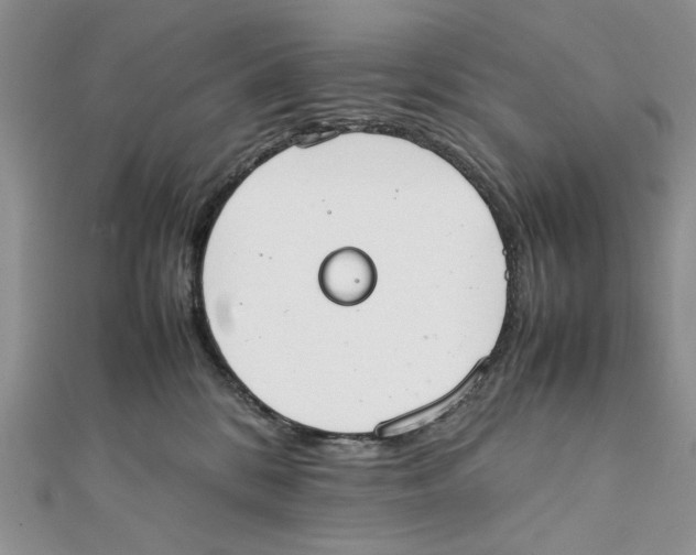X0000111650328200908141257