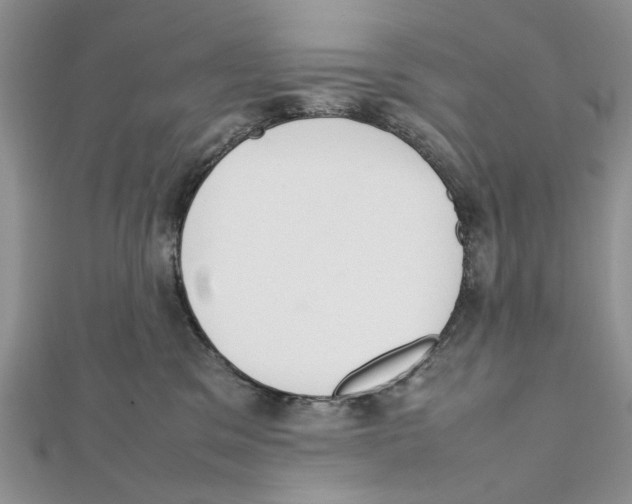 X0000111650329200908141257