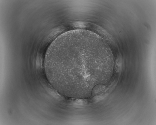X0000111650330200908141257