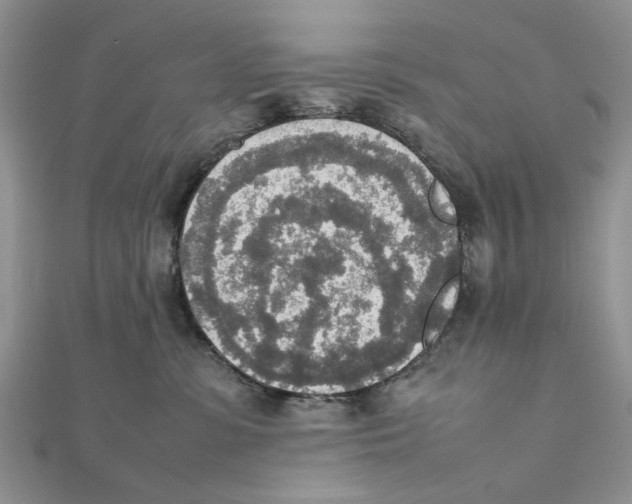 X0000111650331200908141257