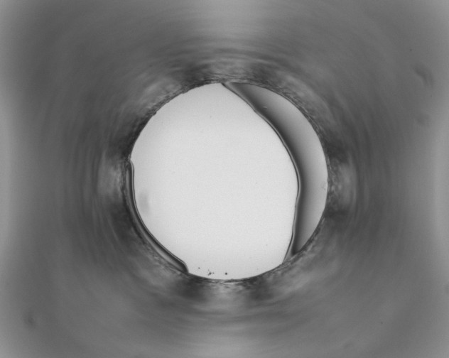 X0000111650333200908141257