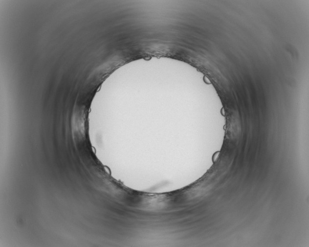 X0000111650334200908141257