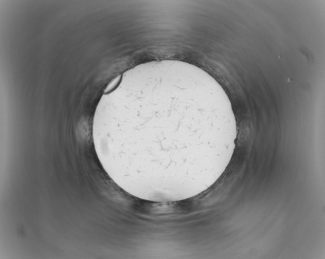 X0000111650335200908141257