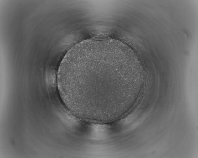 X0000111650336200908141257