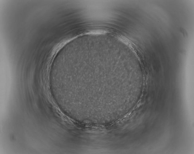 X0000111650337200908141257