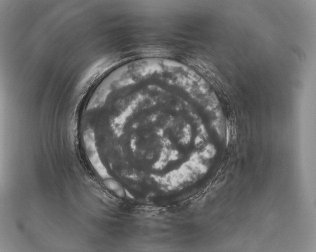 X0000111650339200908141257