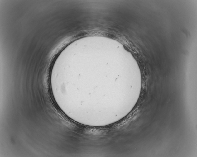 X0000111650341200908141257