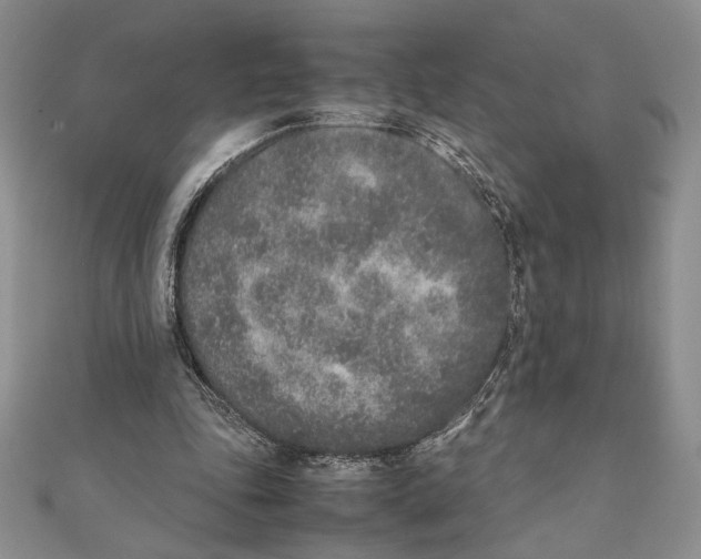 X0000111650343200908141257