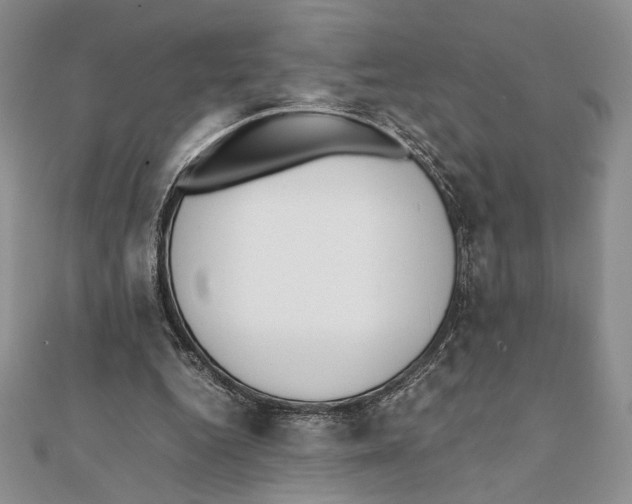 X0000111650344200908141257