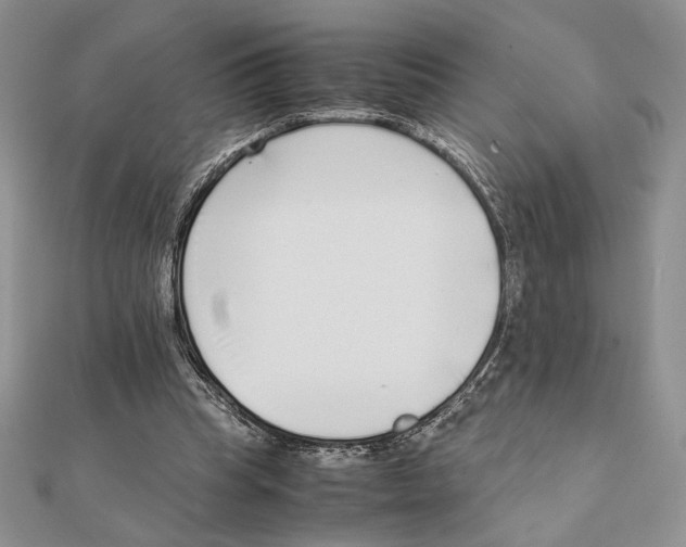 X0000111650345200908141257