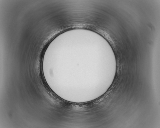 X0000111650346200908141257